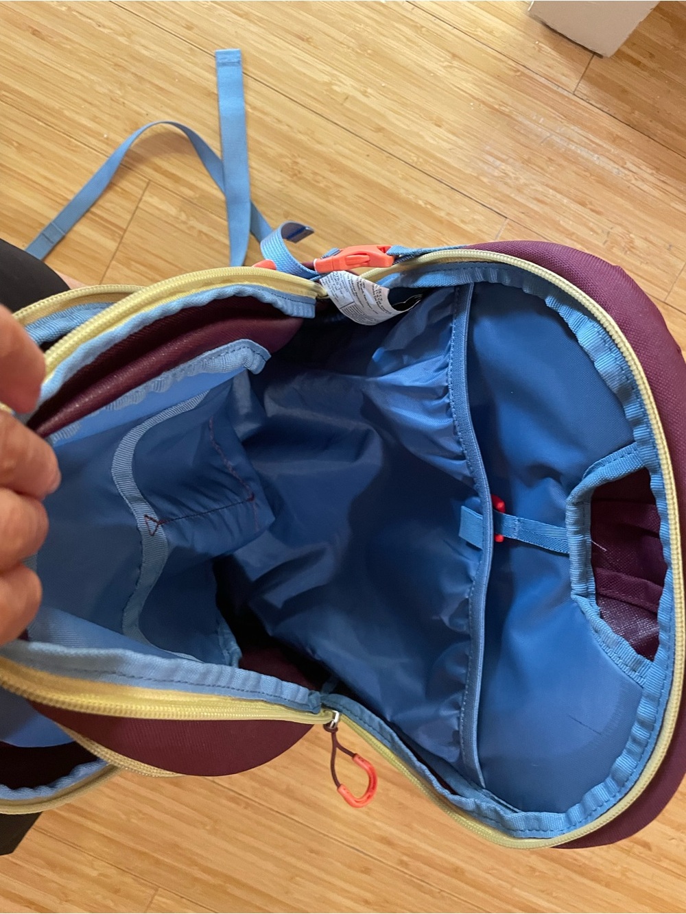 OSPREY Women's Backpack in Deep Burgundy with Blue Straps and Coral Accents - Picture 3 of 7